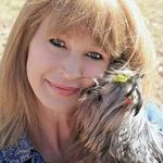 Tracy Hester Dempsey - @tracy.h.dempsey - Instagram