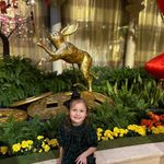 Tracy Hester Weeks - @tracylweeks - Instagram