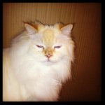 Tracy Hiller - @hiller9999 - Instagram
