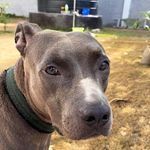 Tracy Hiller - @vict.oriavic - Instagram