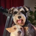 Tracy Hoare - @tracy_mother_and_nana_ - Instagram