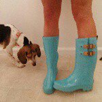 Tracy Hoffmann - @tracykathleen42 - Instagram