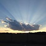 Tracy Simpson Holbert - @tracysimpsonholbert - Instagram