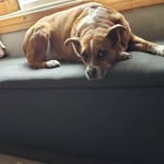 Tracy Hole - @tjhole12 - Instagram