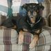 Tracy Hole - Facebook