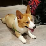 Tracy Hong - @bnn80551 - Instagram