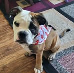 Tracey Howden Johnston - Facebook