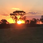 Tracy Howden - @howdentracy - Instagram