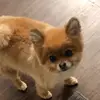 tracyzhuebner - @tracyzhuebner - TikTok