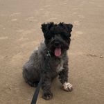 Tracy Humphreys - @tracy.humphreys123 - Instagram