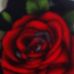 Tracy Huntley - Facebook