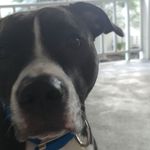 Tracy Inman - @modtracy - Instagram