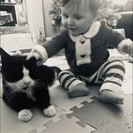 Tracy Innes - Facebook