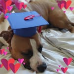 Tracy Innes - @crystalroseking - Instagram