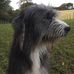 Tracy Ireland - Facebook