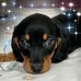 Tracy Ireland - Facebook