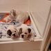 Tracy Isler - Facebook