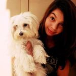 Tracy Jackman - @5049jackmansnowleopard - Instagram