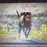 Tracy Mike Jackman - @tracy_jackman - Instagram