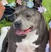 Tracy Jacobsen - Facebook