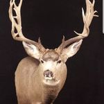 Tracy Jacobsen - @muley_masters - Instagram