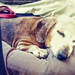 Tracy Kline Jacobsen - @reflectingsmilesphotography - Instagram