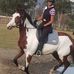 Tracey Jacobson - Facebook
