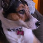 Tracy Jacobson - @jacobson5841 - Instagram