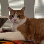 Tracy Jacobson Kanter - @kantertracy - Instagram