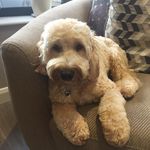 Tracy Jameson - @tracy.jameson.35 - Instagram