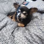 Tracy Jerome - @tracyjerome1972 - Instagram