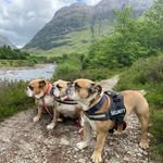 Tracy and Jerry - @thetouringwardens - Instagram
