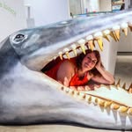 Tracy Jones - @tracybrerapr - Instagram