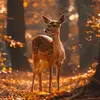 Tracy Jones - @tracy.jones731 - TikTok