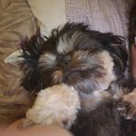 Tracy Josey - @tjosey6boys - Instagram