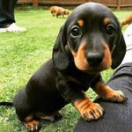 TRACY JOSLIN - @tracyjoslin1963 - Instagram