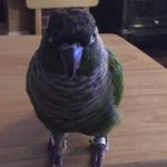 Tracy Kasten - @kasten.tracy - Instagram