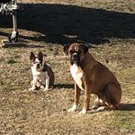 Tracy Keel - @tracy.keel.10 - Instagram