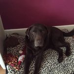 Tracy Keene - @tracy.keene.520 - Instagram