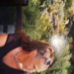 Tracy Keener - @tracy.keener1 - Instagram