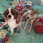 Tracy - @tracykeene2018 - Instagram