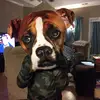 Tracie Kestner - @traciekestner3 - TikTok