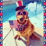 Tracy Dortch Keyes - @mysillylilly - Instagram