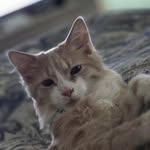 Tracy Keyes Dragos - @dragostracy - Instagram