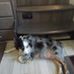 Tracy Kidwell - Facebook