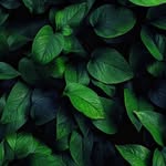 Trace Killian - @pocketbookposts - Instagram