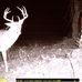 Tracy Killion - Facebook