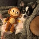 Tracy Kimball - @tjkimball1175 - Instagram