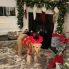 tracykimballkelly - @tracykimballkelly - TikTok