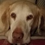 Tracy Kirkpatrick - @tracykpat - Instagram